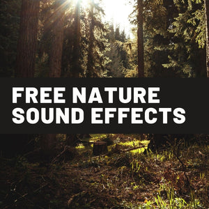 Free Nature Sound Effects, Best sound effects & music for creators